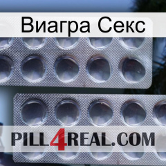 Виагра Секс 31